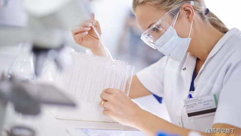 广安试管代生代怀全流程揭秘：从胚胎培养到成功分娩的真实经历